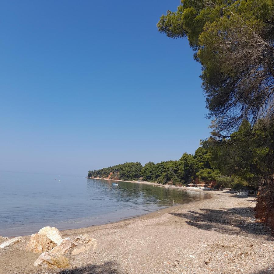 Ta Pefka apartments, Sithonia - Halkidiki Nikiti  Bagian luar foto