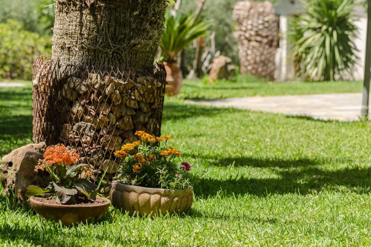 Ta Pefka apartments, Sithonia - Halkidiki Nikiti  Bagian luar foto